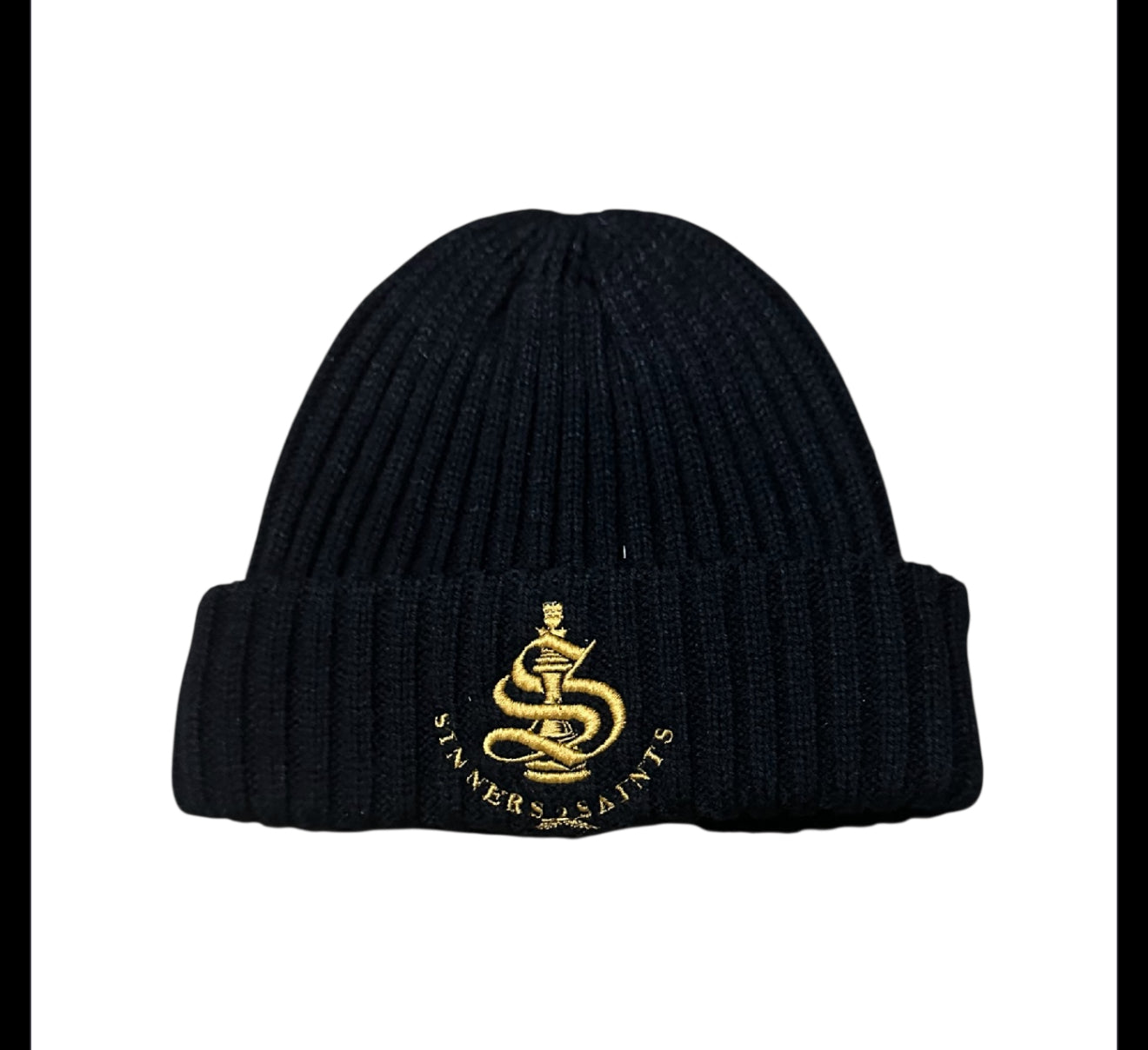 S2S Logo Beanie