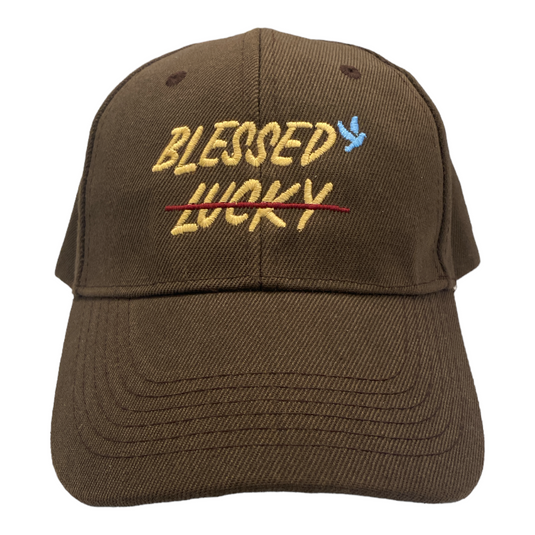 Blessed, Not lucky Hat