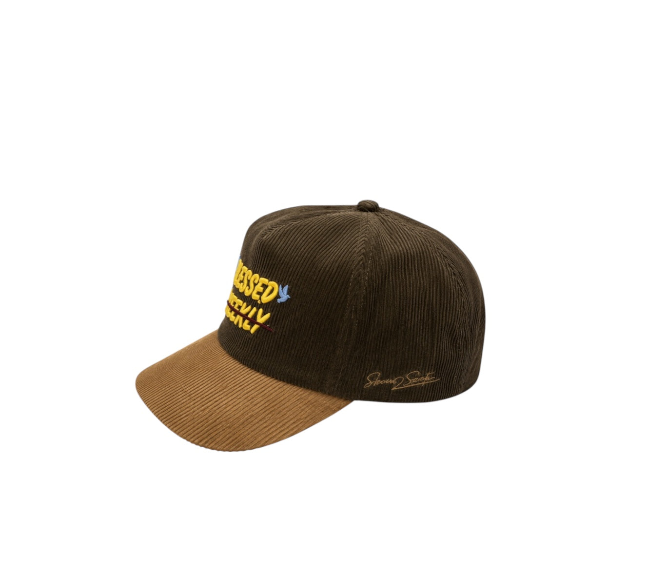 Blessed, not lucky Cap (Limited Restock) - Sinners2Saints